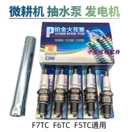 Premium Platinum 168/170F/188F Gasoline Engine Spark Plug Generator Spark Plug F7TC/F5TC/F6TC