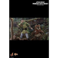 Hot Toys 1/6th Scale MMS551 Star Wars: Return of the Jedi PRINCESS LEIA and Wicket Collectible Set .
