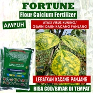 (LANGSUNG KIRIM) FORTUNE Pupuk Kalsium Anti Hama Virus Kuning/Gemini Kacang Panjang Pupuk Organik Ha