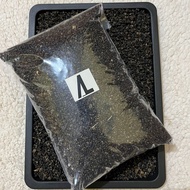 INSTANT TIWUL RICE 1KG INSTANT Tiwul/ INSTANT TIWUL/ Black Tiwul Rice/ Cassava Tiwul Rice/ Black Tiw