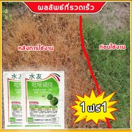 【ซื้อกี่แพ็คและรับฟรีกี่แพ็ค】ไม่ทำร้ายข้าว! ยาคุมหญ้าข้าว คุมฆ่าในนาข้าว เข้มข้นสุดๆ 10g กำจัดหญ้าใน