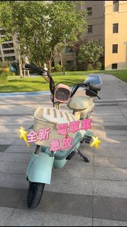 全新 急放 電單車 單車 電動單車 Electric vehicles, motorcycles小型 電動車 成人 兩輪自行車 電瓶車
