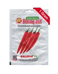 Benih Cabai Merah Besar Balebat F1 Cabe Bintang Asia