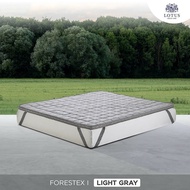 LOTUS ที่นอนยางพารานุ่มสบาย Latex Made In Belgium รุ่น Forestex I ความหนา 2 นิ้ว ส่งฟรี