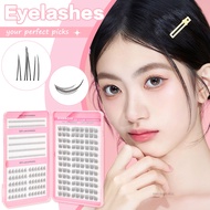 Trộn các cụm lông mi DBS-VN