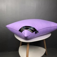 (FREE BAG) BANTAL HOTEL HILTON @ PILLOW HILTON