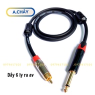 Audio cable jack 6mm to av lotus length 80cm, 1m