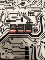 Sandisk extreme pro 256/64GB