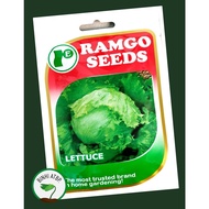♞Ramgo Lettuce Iceberg Seeds