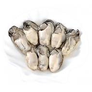 冷冻优质生蚝肉 Frozen Premium Oyster Meat HALAL