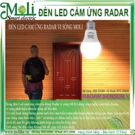 MOLI radar sensor light bulb