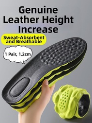 ZUYINBULUO | Invisible Height-Increasing Shoe Insole