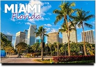 Miami Fridge Magnet Locker Magnet Florida Travel Souvenir
