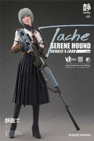 I8toys 靜謐犬 tache 1/6 serene hound i8 toys 可換 tbleague phicen tbl hottoys inart 其他 1:6 兵人 或 手辦 figure