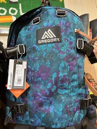 Gregory All Day 24L Blue Tapestry