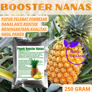 Pupuk Booster Pelebat Buah Nanas Organik / Pupuk Nanas Pemacu dan Pelebat Perangsang Buah Nanas