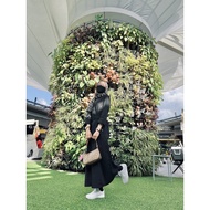 USED Zanzea Dress BLACK