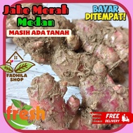 bibit jahe merah 1 kg siap tanam / jahe merah segar 1kg super / jahe merah segar 1kg /  jahe merah / bibit jahe merah