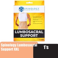 Spinology Lumbosacral Support Size (XXL) Lumbar Support / Waist Support / Backbone Support for Sciat
