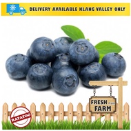 [SALE] FRUIT Blueberry 125g (1box) RATATOO MARKET