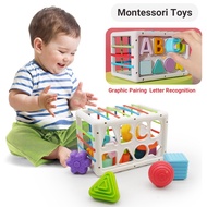Baby Montessori Toys for 1 Year Old Boy Girl Gifts, Shape Sorter Sensory Bin 6 12 18 Months Toys, To
