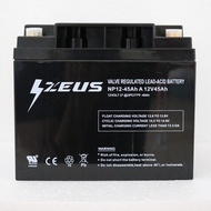 Baterai Aki / Accu Kering VRLA Zeus Battery 12v / 45Ah