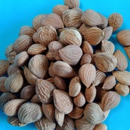 BIJI APRICOT VITAMIN B17- ORIGINAL