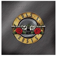 Guns N  Roses Greatest Hits 바이닐 LP