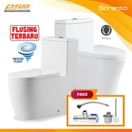 SORENTO One Piece Water Closet Wash Down Rimless Flushing / Twister System Toilet WC SRTWC8317-RL / 