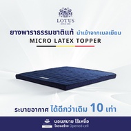 LOTUS Topper ท็อปเปอร์ ที่นอนยางพาราแท้ 100% รุ่น ARES ช่วยลดอาการปวดหลัง สัมผัสนุ่ม แน่น กระจายแรงก