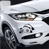 PANDA CAR STICKER SLEEP LAZY LAZY LAZY GLASS STICKER BODY BUMPER BUMPER BUMPER CAR TOP VARIATIONS