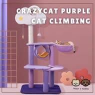 ♜Premium Purple Cat Scratching Climbing Tree House Cat Climbing Frame➳