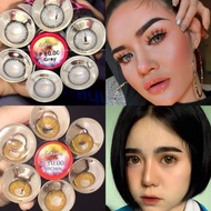 คอนแทคเลนส์ รุ่น Arum สีเทา/ตาล Gray/Brown ค่าสายตา (0.00)-(-6.50) DDBE