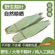 Wild Selection Dried Dumpling Leaves Dried Dumpling Leaves Dumpling Leaves Dried Dragon Boat Festiva