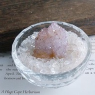 Cactus Amethyst 南非產地 仙人掌紫水晶 天然礦石 原礦