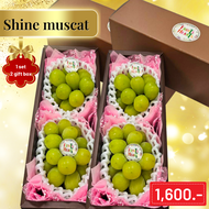 Gift box Shine muscat ไชน์ มัสคัต