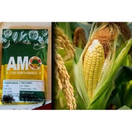 AMO PLANT GROWTH ENHANCER ORIGINAL 100GRAMS.