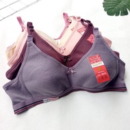 ADULT WOMEN'S BRA SIZE 34 - 42 BHB 003 BHN 001 BDFIT H2 ADULT SPORT BRA WITHOUT WIRE ADULT BRA