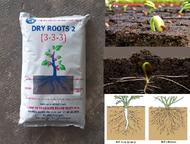 Phân bón hữu cơ DRY ROOTS 2 (3-3-3) 1 kg