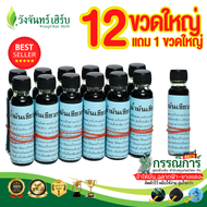 คุ้มที่สุด-ตรงปก น้ำมันเขียวกรรณิการ์ 12 ขวด แถม 1 ขวด 24cc ของแท้ 100% รับรวม 13 ขวด