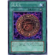 DL1-045 Giant (Glossy) Shrimp 14 23 B21
