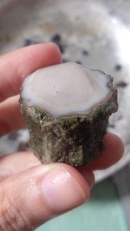 Batu Kalimaya banten asli bahan bukan sempur jumbo dime