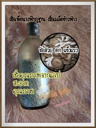 เชื้อเห็ดนางฟ้าภูฐาน เชื้อเมล็ดข้าวฟ่าง 5ขวด 110บาท