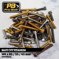 Titanium CVT Bolt PB Probolt Size M6x20mm M6x35mm M6x45mm Titanium CVT Bolt PB Thread M6 Universal C