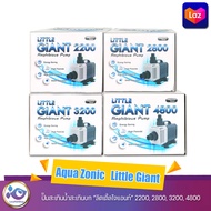 Aqua Zonic  Little Giant ปั๊มสะเทินน้ำสะเทินบก "ลิตเติ้ลไจแอนท์ " 2200 , 2800 , 3200 , 4800