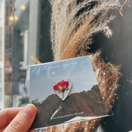 【客製化】小朵玫瑰透明款結他撥片 Guitar Pick