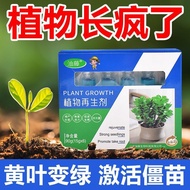 【Ready stock】Plant Regenerator Flower Green Plant Potted Plant Universal Type Light Rod Yellowing Fo