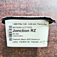 JONCTION RZ BATAVIA LETTUCE SEEDS (1000 PILLS) by RIJK ZWAAN
