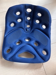 BackJoy SitSmart