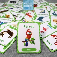 Cross-Border English Enlightenment Flashcards Animal Fruit Flag Professional Color Transportation Ea